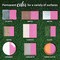 COLORSHOT Gloss Spray Paint Farmer''s Daughter (Pink) 10 oz. 4 Pack